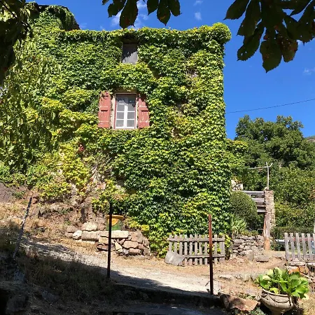 La Calade De Craysoules Vila Bassurels Exterior foto