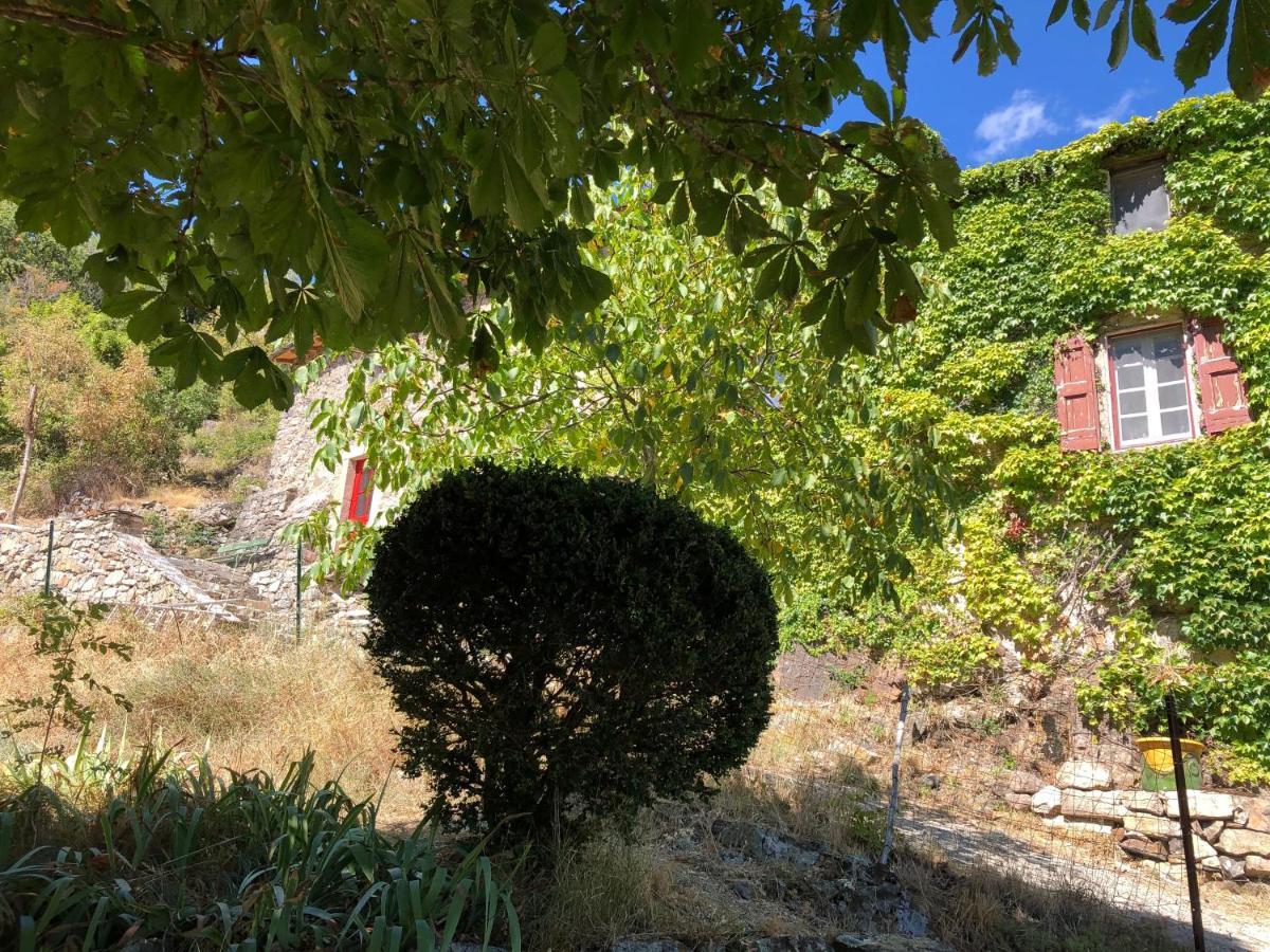 La Calade De Craysoules Hébergement de vacances